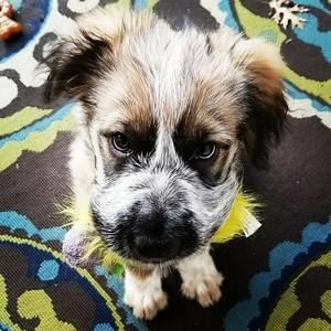 Meet your Posher, Elyssa